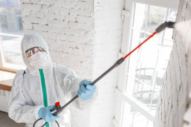 Best Emergency Mold Remediation in Thunderbolt, GA